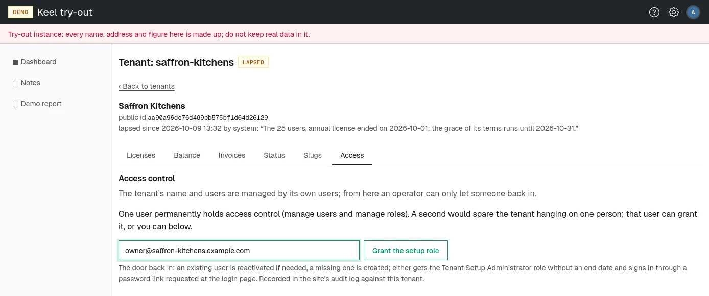 The Access tab lets an operator grant the Tenant Setup Administrator role to an email address.